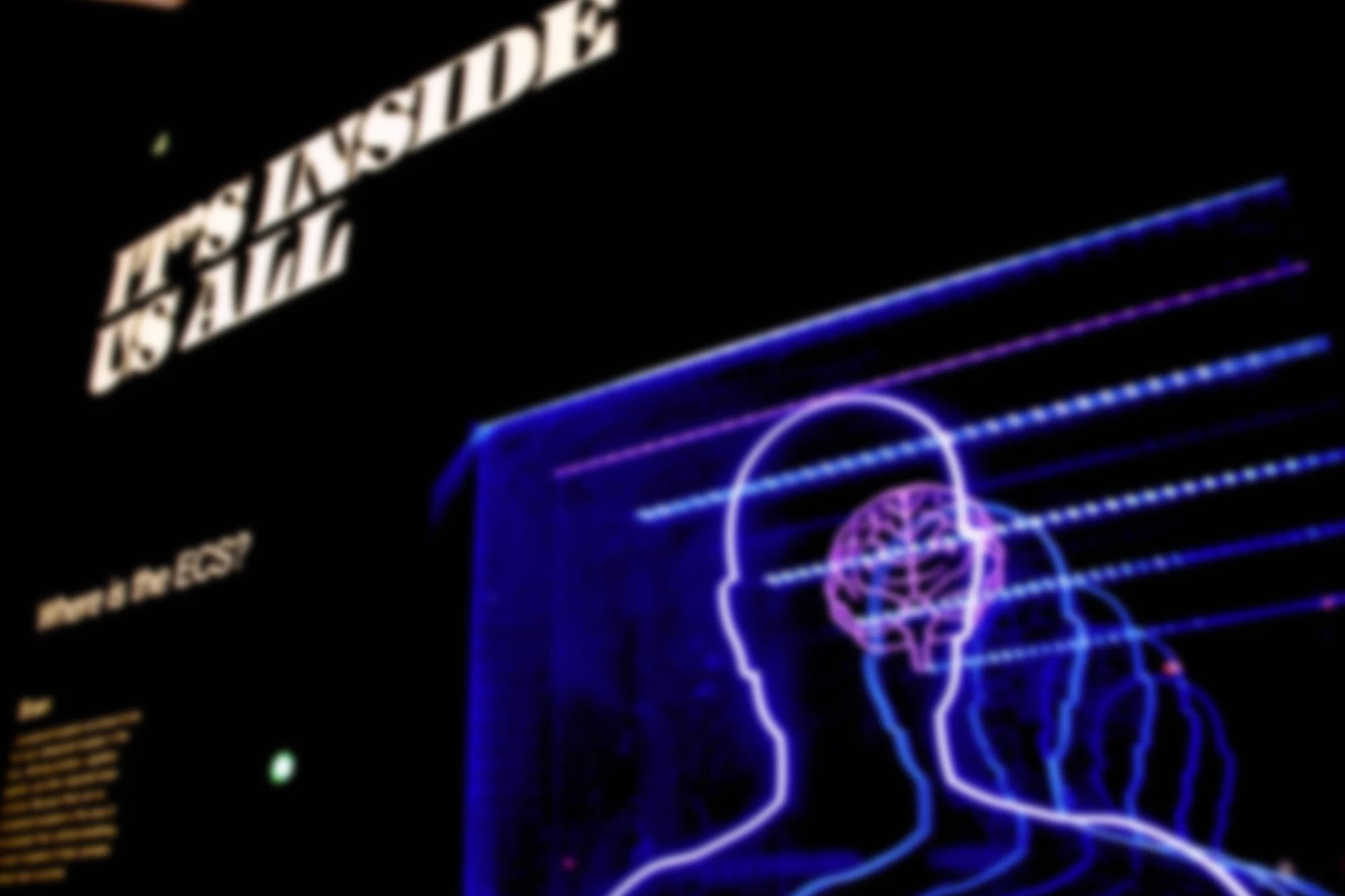 Neon brain illustration